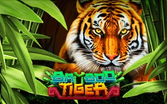 Bamboo Tiger