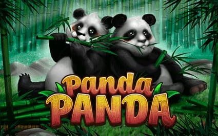 panda-panda