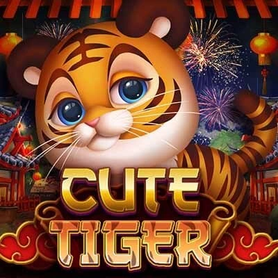 Cute Tiger