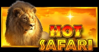 Hot Safari